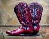 Texas Dancing Shoes Texas Dancing Shoes